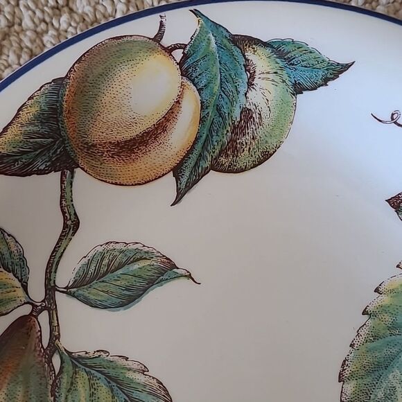 PIER 1 MACINTOSH Earthenware Angleterre Fruit Round Dinner Plate and stand home - Picture 11 of 16